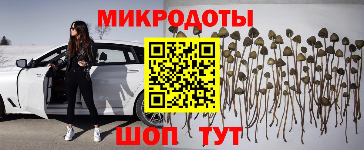 Галлюциногенные грибы Psilocybine cubensis Белебей